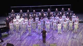 Hide and Seek Imogen Heap  Academy Singers at World Choir Games 2018 [upl. by Seem]