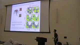 Kemp Plumb  Continuum of Magnetic Excitations HFM2018 [upl. by Colwin]