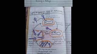 microbes topic 6 Lytic And Lysogenic Cycle  biology BSC exam [upl. by Eltsyrc]