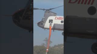 🔥Chinook dropping in for some water helicopter chinookhelicopter chinook wildfire firesafety [upl. by Aihtnyc480]