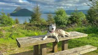 Explore Arran  Clauchland Hills  Dun Fionn Walk [upl. by Trent]