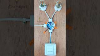 Easy 2 Gang Switch Wiring electricalwiring electrical wiring diy shorts lightswitch electric [upl. by Adlecirg137]