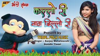 कल्लो री नावा बिल्लो री  गोंडी सॉन्ग  KALLO RI GONDI SONG  SANJAY MAHALWANSHI  gondi [upl. by Ronyam718]