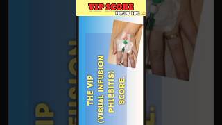 VIP  Visul Infusion phlebitis । Score phlebitis cannula cannulation nursingking short shorts [upl. by Trembly517]