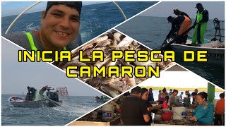 PRIMER DÍA DE LA PESCA 🦐🚤⚓️ SE ABRE LA VEDA DEL CAMARON Y LES MUESTRO COMO LO SACAMOS  ElRayioDD [upl. by Maure136]