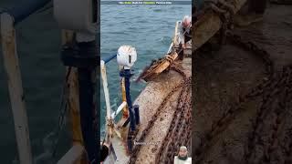 बड़ेबड़े jahajon ko Kis Tarah roka jata hai ship ocean fishing [upl. by Dymoke]