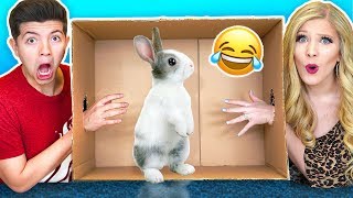 Whats In The Box Challenge with My Wife Live Animals Snake Lizard Giant Toad [upl. by Bailey]