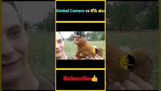 Gimbal Camera vs కోడి తల gimbal henhead camera footage movie [upl. by Borroff]