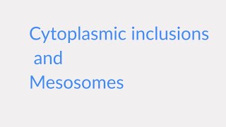 Cytoplasmic inclusions and Mesosomes  Microbiology [upl. by Millan]