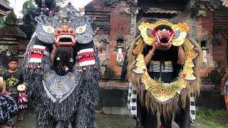 Barong bangkung vs barong tali rafia [upl. by Tillo]