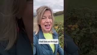 Katie Hopkins Bonkers Britain 30th October [upl. by Madella]