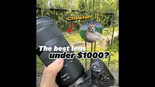 Canon RF 100400mm f568 IS USM Lens review [upl. by Ailices649]