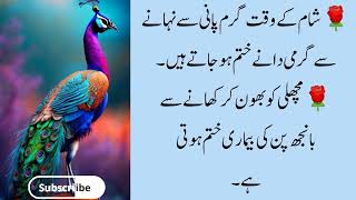 Asan gharelu totkay Useful totkayTotkay hi totkayDaily totkaymagazine totkay in urdu [upl. by Yenaiv]