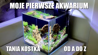 Moje Pierwsze Akwarium Tania Kostka od A do Z [upl. by Aiuqenehs]