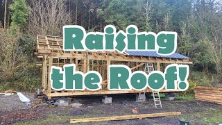 Raising the roof  DIY SHED BUILD PART 3 [upl. by Stargell]