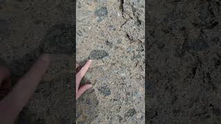 Mafic Inclusions in Rhyolite Ash Flow Tuff Gran Canaria geology volcano lava travel [upl. by Eninotna]