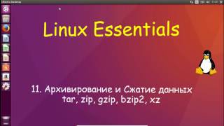 Linux для Начинающих  Архивирование и Сжатие tar gzip bzip2 xz zip [upl. by Busch]