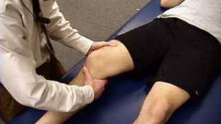 Knee Exam Lachman Test [upl. by Anitnemelc]