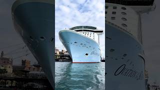 Ovation of the Seas arrival in SYDNEY  1st Nov 2024 [upl. by Aenneea]