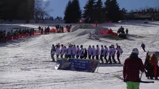 Skifasching Oberwiesenthal 2017 närrisches Treiben auf dem Skihang [upl. by Kushner]