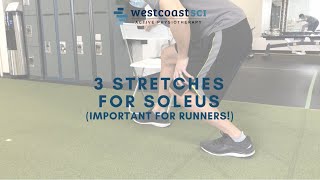 3 Stretches for Soleus for Tight Soleus and Tight Calf Muscles [upl. by Nelloc]