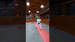 SHOTOKAN RYU 🥋 OSU 🥋 [upl. by Ydnec]