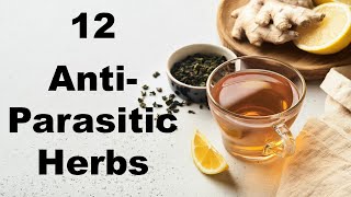 12 Powerful AntiParasitic Herbs for Gut Health [upl. by Fred993]