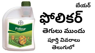 folicur fungicide full details in telugu by httpswwwyoutubecomcinnovativefarmingtelugu [upl. by Moffit736]