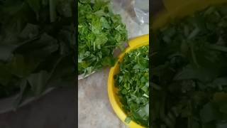 Bihar style saag recipe without onion and garlic Navratri special 🥰 [upl. by Stinky]