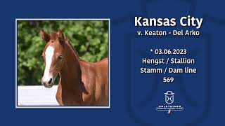 Foal AuctionFalsterbo Horse Show  Nr 10 Kansas City [upl. by Nirot175]