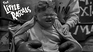 Little Rascals Shorts  quotBoxing Glovesquot  FULL EPISODE  Slapstick Comedy Golden Hollywood [upl. by Ettezoj]