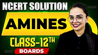 AMINES  NCERT Solutions  Chemistry Chapter 10  Class 12th Boards [upl. by Grinnell389]