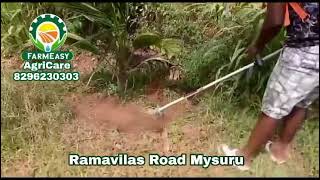 FARMEASY AGRICARE Mysore ramavilas road 4 [upl. by Yrkcaz]