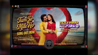 Tum Jo Mile Ho Bass Boosted song  Vicky vidya ka woh wala Video [upl. by Bakki]