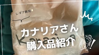 カナリアさんでお買い物！あのコットン糸を紹介しながら編みラジオ [upl. by Pravit342]