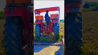 Subscribe kro guys farming farmer khetibadi redhorse [upl. by Enobe]