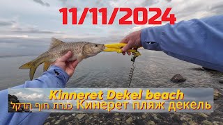 4K 11112024 Kinneret Dekel beach Кинерет пляж Декель כנרת חוף הדקל דיג рыбалка fishing [upl. by Madancy105]