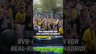 Die BVBFans stimmen sich in Madrid schon ordentlich ein 🔥 shorts [upl. by Amieva]