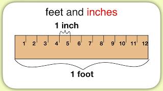 Measurement Feet and Inches [upl. by Nepsa]