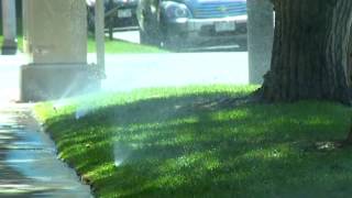 Increase Water Penetration in Your Lawn  DenverFront Range [upl. by Dierolf]