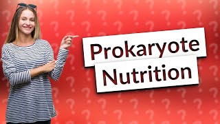 Are prokaryotes autotrophs [upl. by Goober]