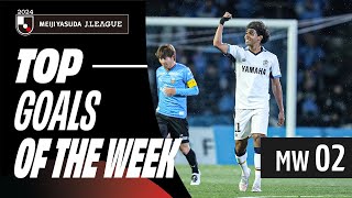 Stunning goals continue the JLeague thrills  2024 JLEAGUE TOP GOALS  MW 2 [upl. by Durrej]