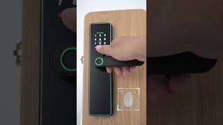 Smart Wood Door Lock with Tuya WIFITTlock ttlock tuyawifi smartlock tuyasmart [upl. by Aynotel]