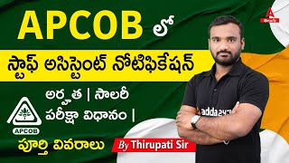 APCOB Notification 2023  APCOB లో స్టాఫ్ అసిస్టెంట్ నోటిఫికేషన్  అర్హత  సాలరీ  పూర్తి వివరాలు [upl. by Ezmeralda506]