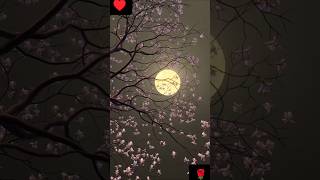 Moonlit night sky ♥️🌹। shorts moon nightsky lovestatus [upl. by Notnroht]