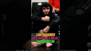 Zabit Magomed Sharipov Petarung MMA ala Ninja Dari Dagestan [upl. by Helge]