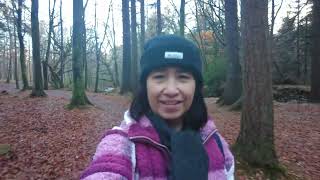 Autumn Walk in Tollymore Forest Park Newcastle N Ireland [upl. by Einner]