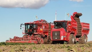 Holmer Terra Dos holt Weltrekord in der Rübenernte Der Film [upl. by Hannus]