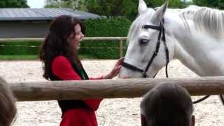 Horse Show Haras Cluny Abbey France [upl. by Grady]