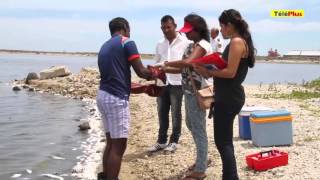 Les poissons morts retrouvés à Pointe aux Sables Bain des Dames et sur d’autres plages impropres [upl. by Willmert324]